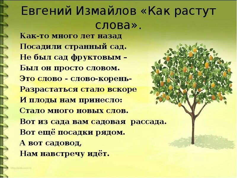 Как растут слова. Как растут слова стихотворение. Как то много лет назад посадили странный сад стих. Стихотворение Измайлова как растут слова.