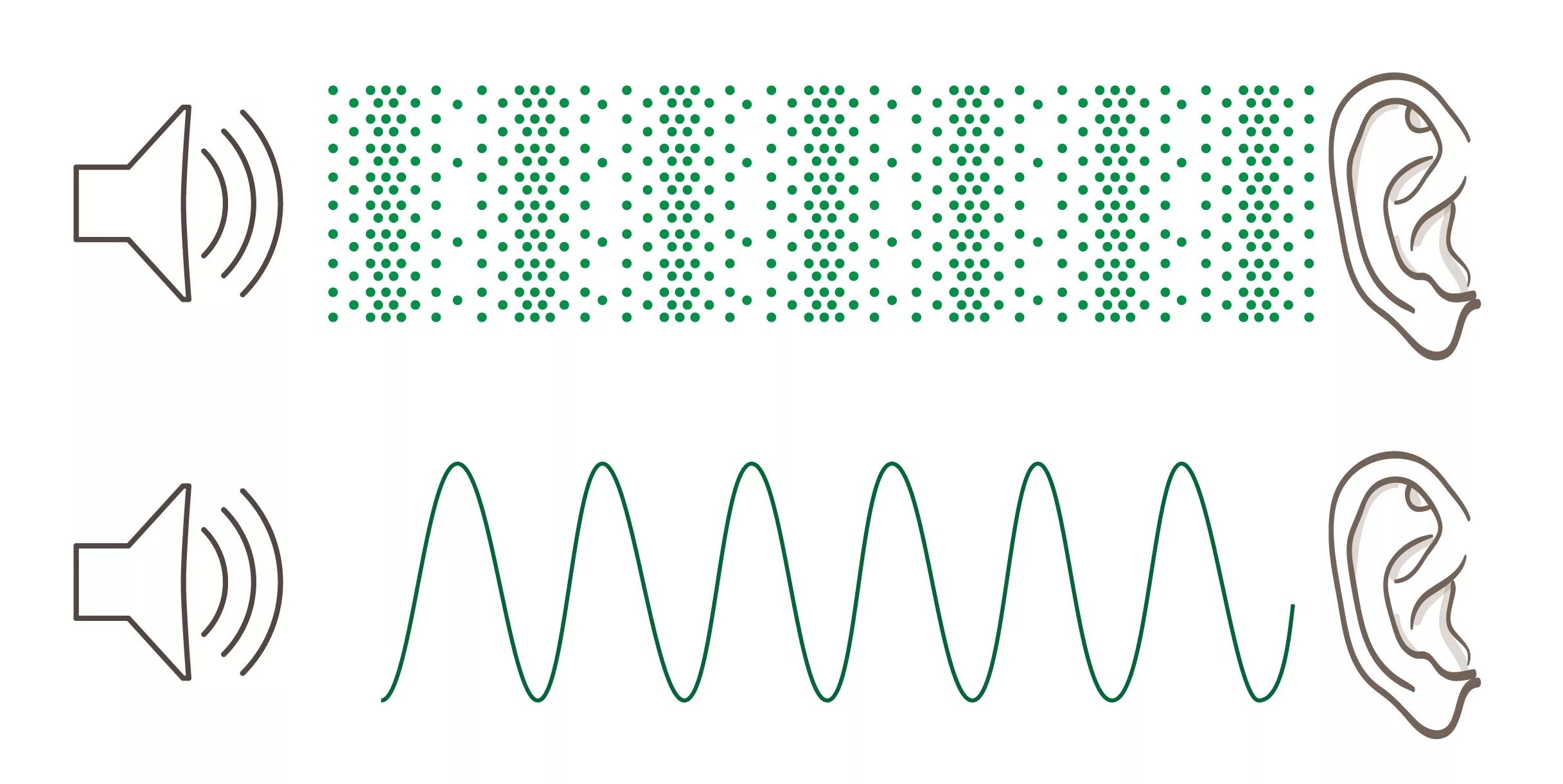 Акустика распространение звуковых волн. Звуковая волна. Звуковые волны физика. Звук звуковые волны физика.