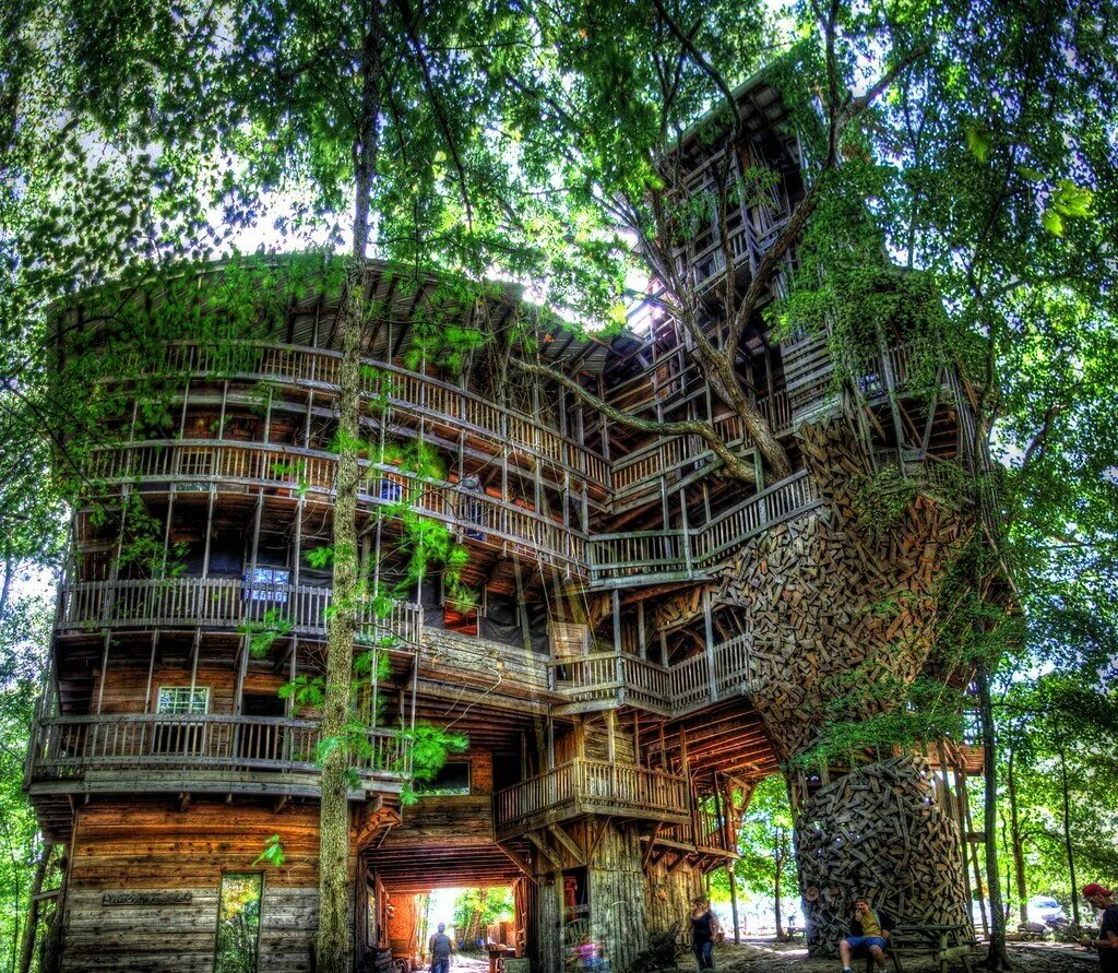 Tree House Кишинев. «Дом на дереве» поселение Московский. Необычные домики. Дома на деревьях. Дом дерево где находится