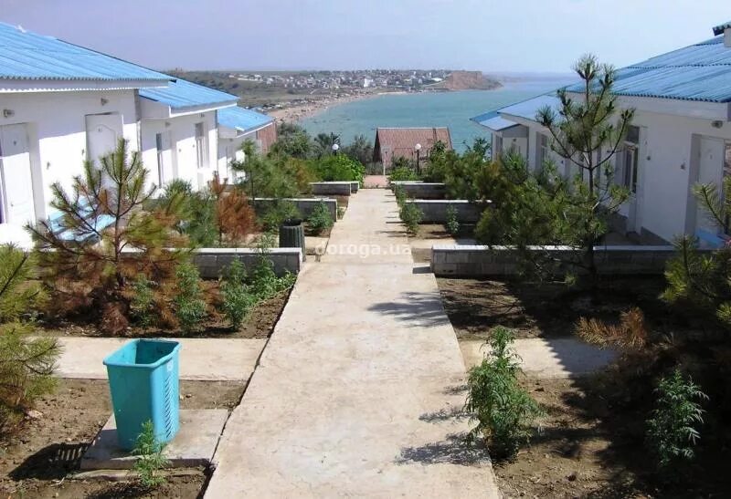 Пляж крым орловка звездный берег. Пляж звездный берег севастополь. Орловка звездный берег крым. Орловка звездный берег. Вязовая роща севастополь орловка.