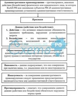 Заполните таблицу правонарушения