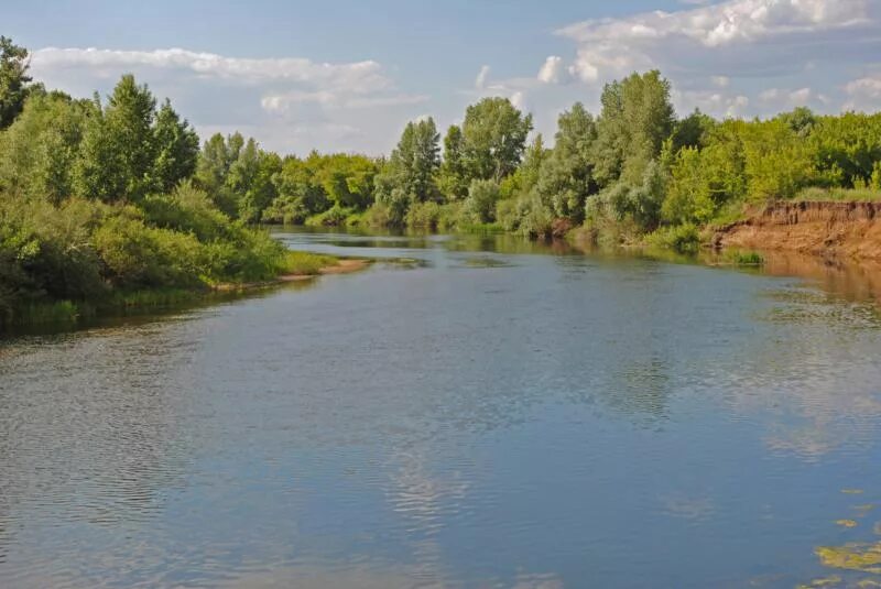 Река урал город уральск. Реки Урал Жайык. Урал река Уральск Дарьинское. Река Урал в Казахстане.