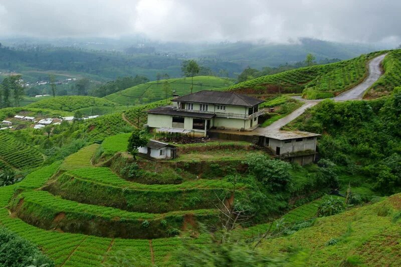 Бутан шри ланка шри ланка прогноз. Нувара Элия плантации чая. Нувара Элия Шри Ланка. Шри Ланка чайные плантации. Нувара Элия достопримечательности.