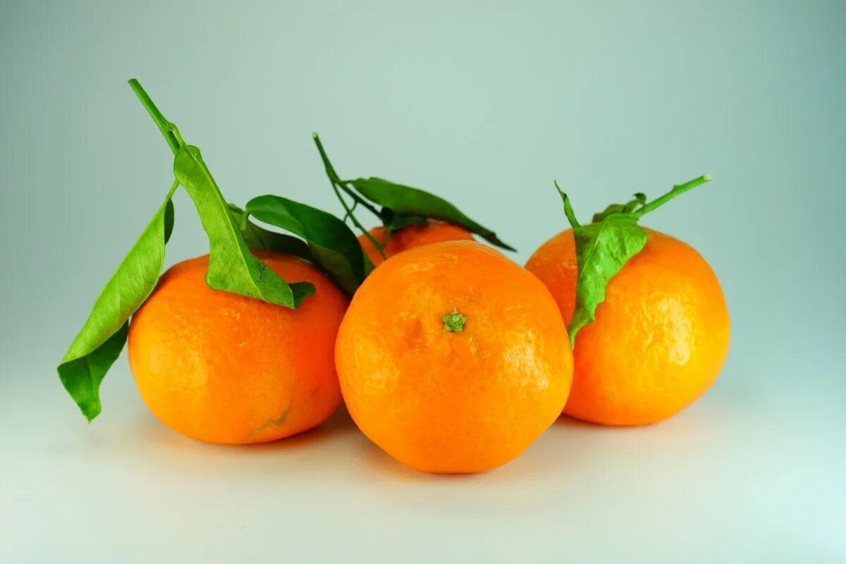 Мандарин померанец. Мандарин Танжерин. Мандарины Клементин. Апельсины мандарины Клементины. Овощи оранжевого цвета