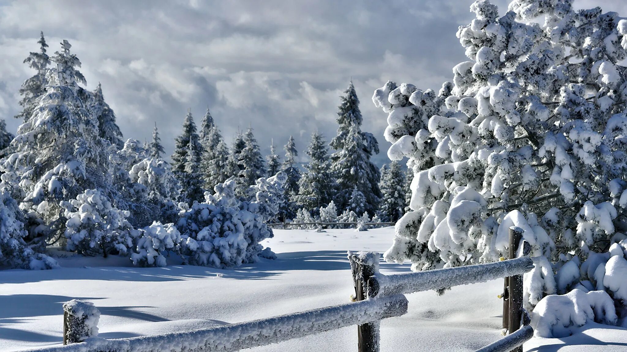 Зимняя природа. Зима снег. Красивая зима. Сказочный зимний лес.