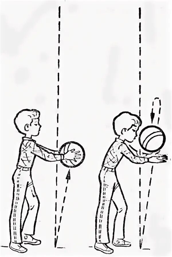 Бросание и ловля. Бросание мяча вверх и ловля двумя руками. Броски мяча вверх и ловля его двумя руками.. Подбрасывание мяча вверх. Отбивание мяча от пола дошкольники.