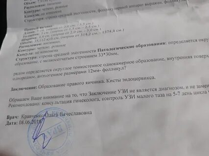 Инвитро узи малого таза