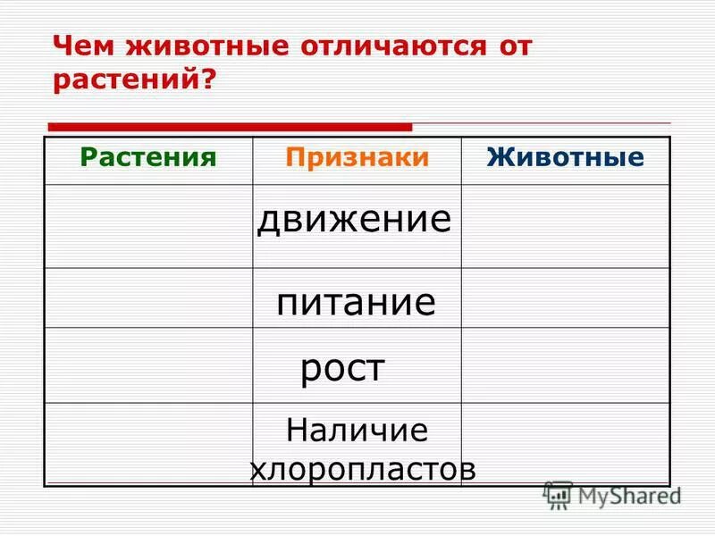 отличие животных от растений. растения от животных. растения отличаются от животных. животные от растений отличаются тест. как живут животные 1 класс передвигаются.