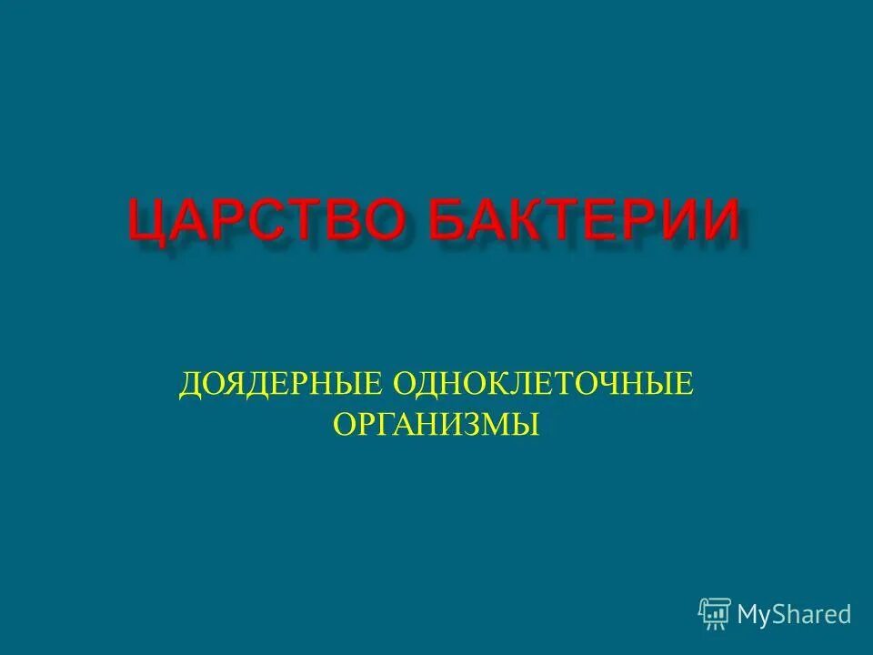 Бактерии доядерные организмы презентация 7 класс биология