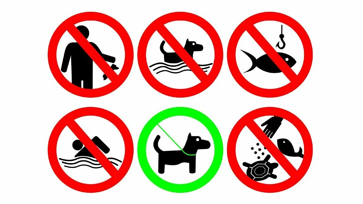 Знаки чтобы не было воды. Запрещающие знаки поведения. Запрещающие знаки на воде. Запрещающие знаки в зоопарке. Запретные знаки о животных для детей.