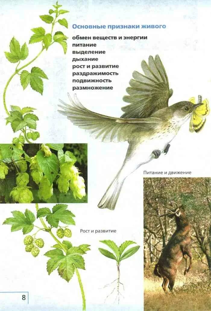 Признаки живого обмен веществ. Биология 6 класс учебник с белкой. Живые организмы весной биологи 6 класс. Биология. 5 Класс. Учебник. 5 Класс биология учебник про красную книгу.