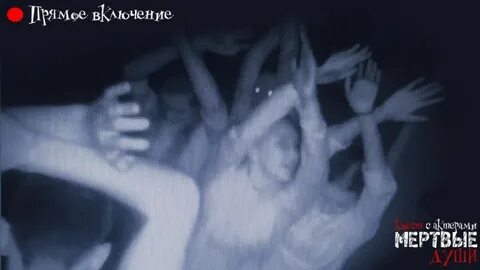Устроена мертвая душа