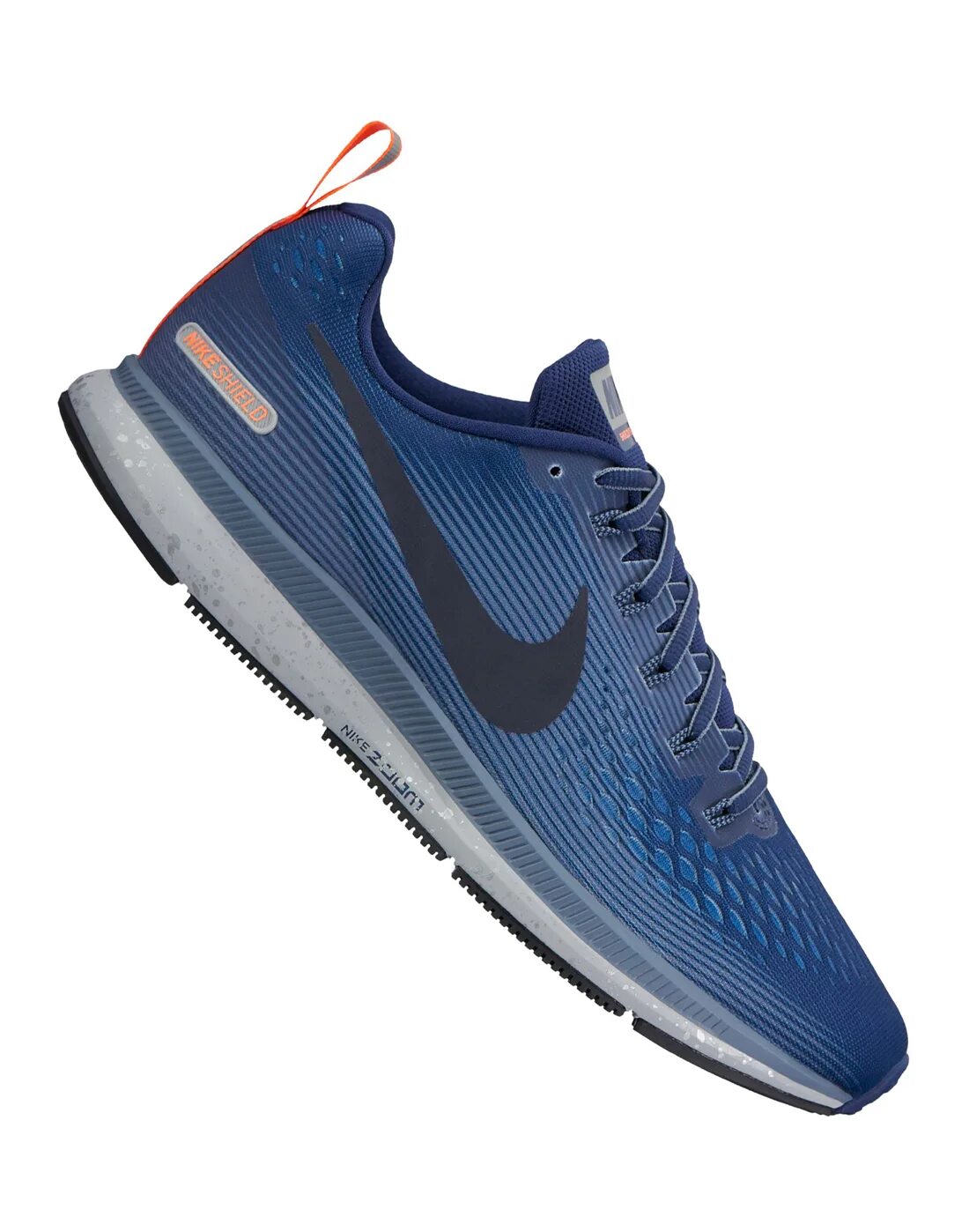 Nike Pegasus 34 Shield. Pegasus shield