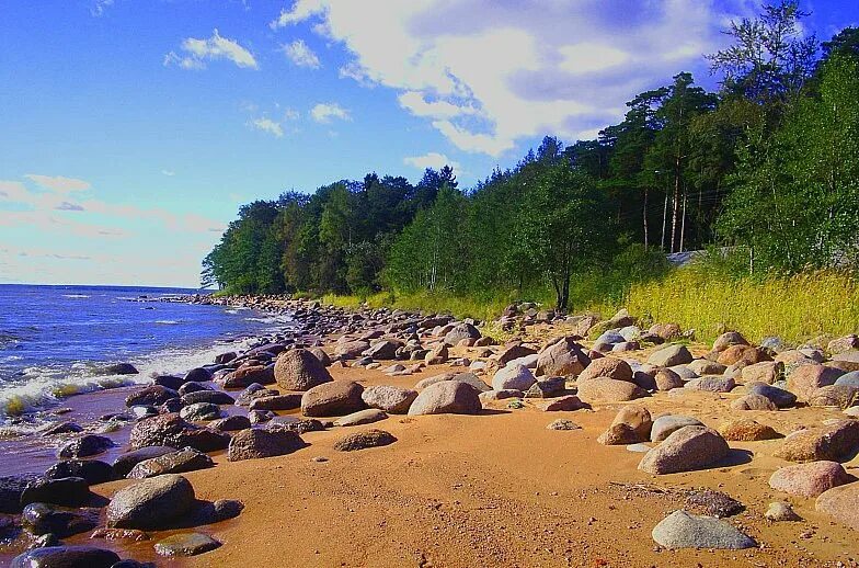 Санкт петербург отдых на берегу моря. Зеленогорск берег финского залива. Сестрорецк берег финского залива. Репино финский залив. Питер петропавловский пляж.