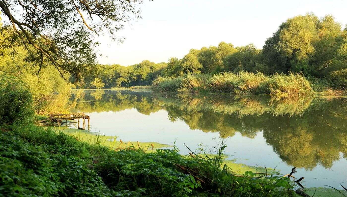 река нара серпухов. река нара серпухов. нара серпухов. серпухов природа. речка в серпухове.