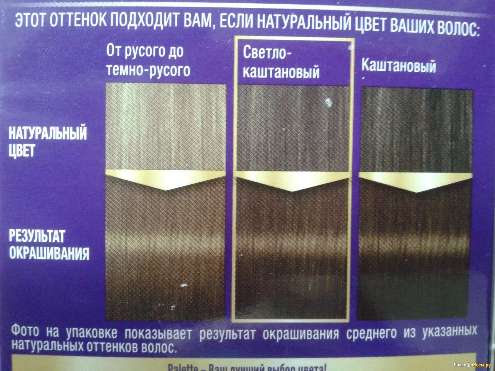 Краска для волос средне русый результат. Краски темно Русы средня Русы и Русы. Холодный русый палет до и после окрашивания. Паллет результат окрашивания.
