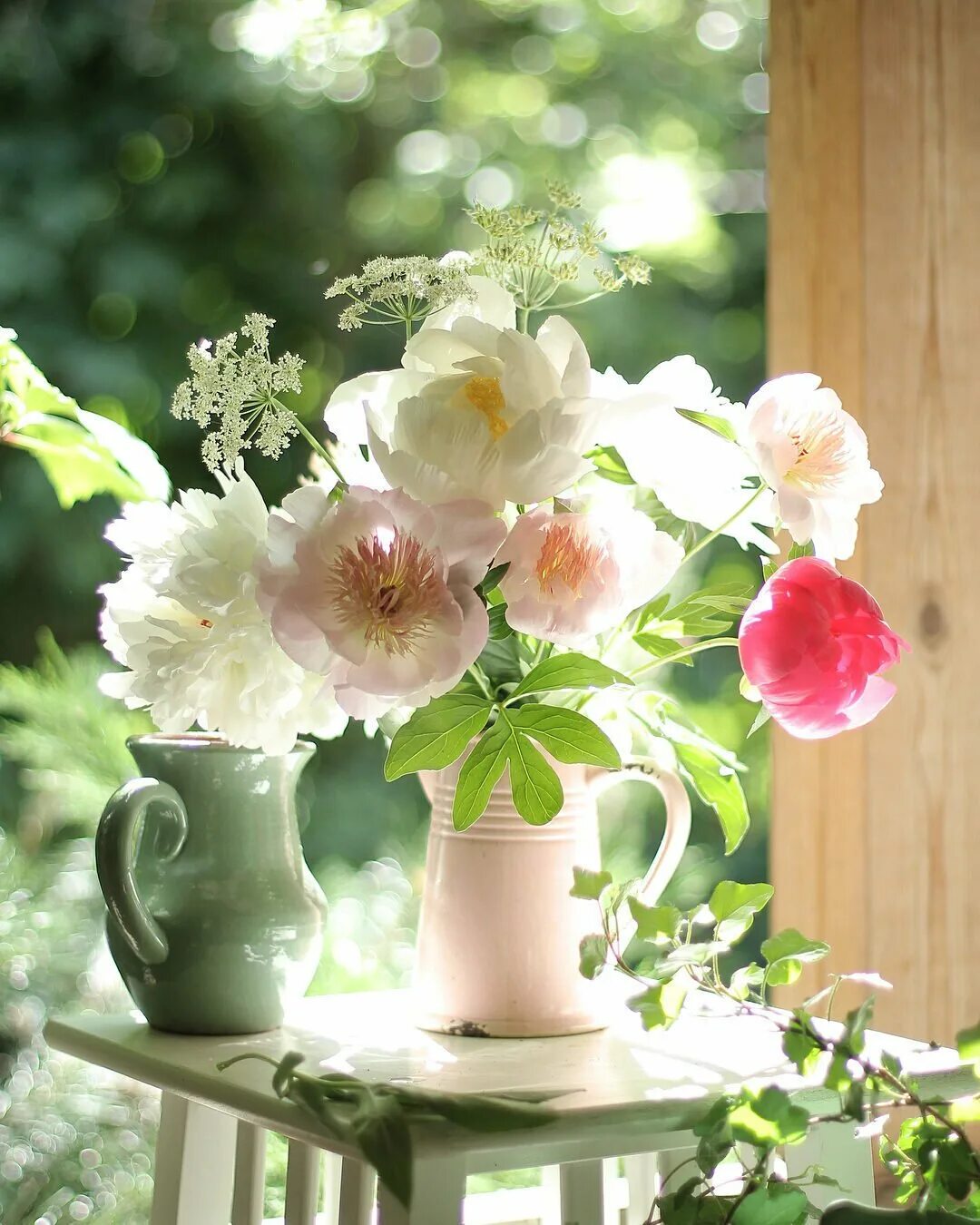 Доброго дня и прекрасного настроения цветы. Утренние цветы. Нежный цветок. Летние цветы в вазе. Нежные солнечные цветы.