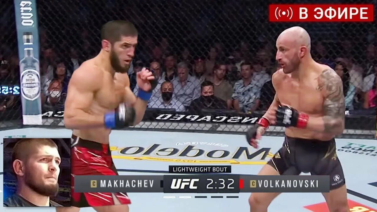 Прямой эфир ufc 24