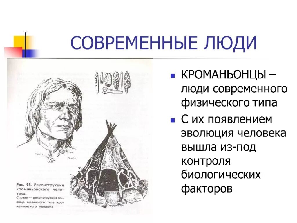 Современный человек характеристика. Современный человек биология. Современный человек кроманьонского типа. Образ жизни современного человека биология.