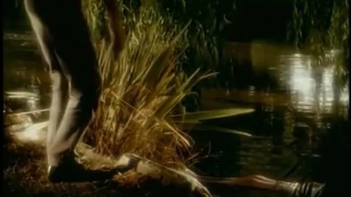 Nick cave wild rose. Avee Kylie Minogue Nick in 1996. Дружочек слушать смотреть клип Кайли Миноуг ник Кейв.