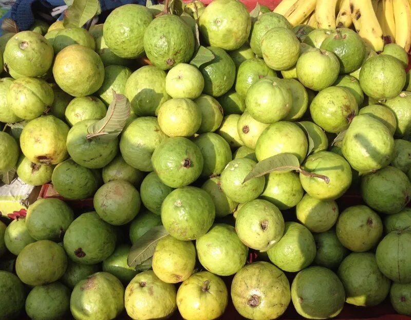 хуч клубника. Hooch реклама. комикс про фрукты. комикс про фрукты. охученные фрукты.