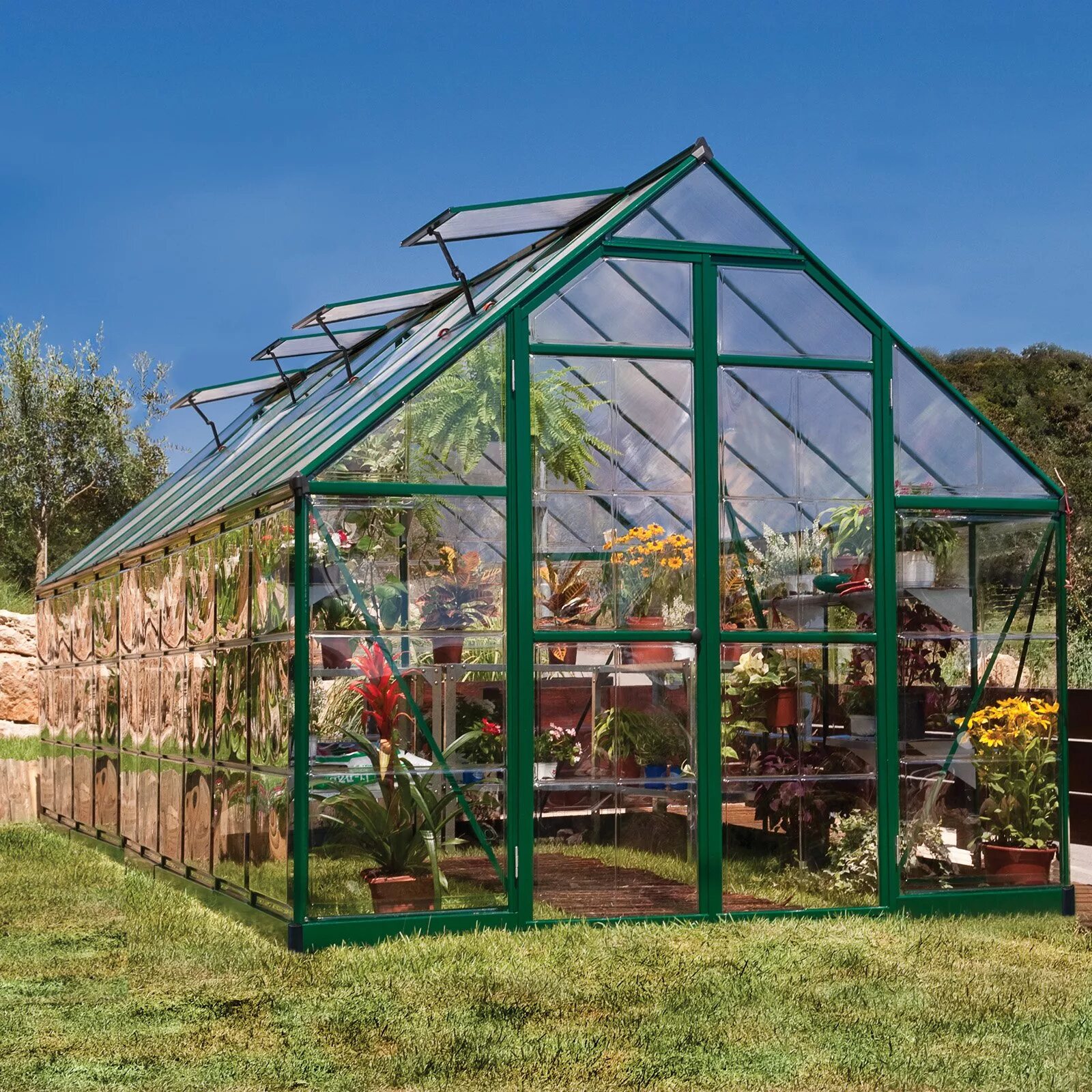 Hartley botanic теплица. Оранжерейный сад отей садовые оранжереи. Теплица на дачном участке. Теплица в огороде. Теплица palram hybrid 6x6.