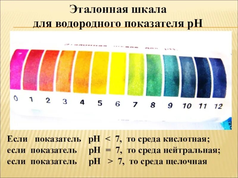 Гто 1 школа. Ph12 щелочность. Шкала кислотности PH воды. Водородный показатель РН<7. Эталонная шкала.