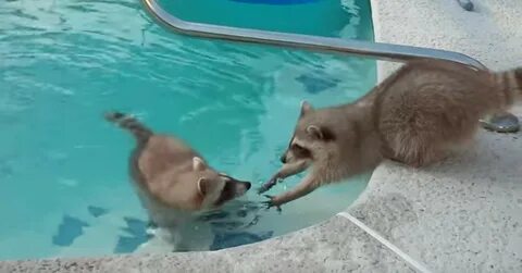 My brother and i swimming almost