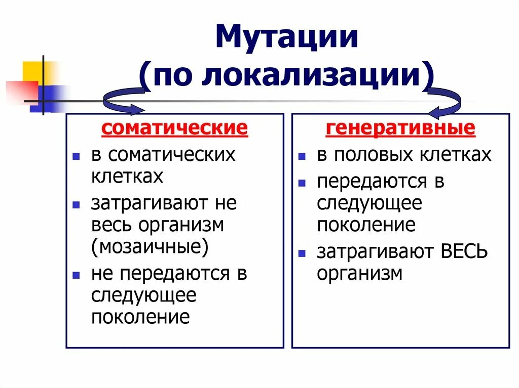 Соматические и генеративные мутации таблица. Соматические мутации и генеративные мутации таблица. Таблица типы мутаций соматические и генеративные. Соматические и генеративные мутации.