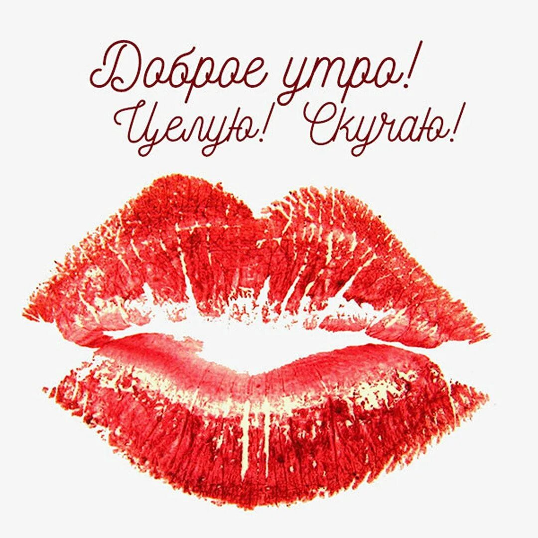Целую обнимаю хорошего дня желаю