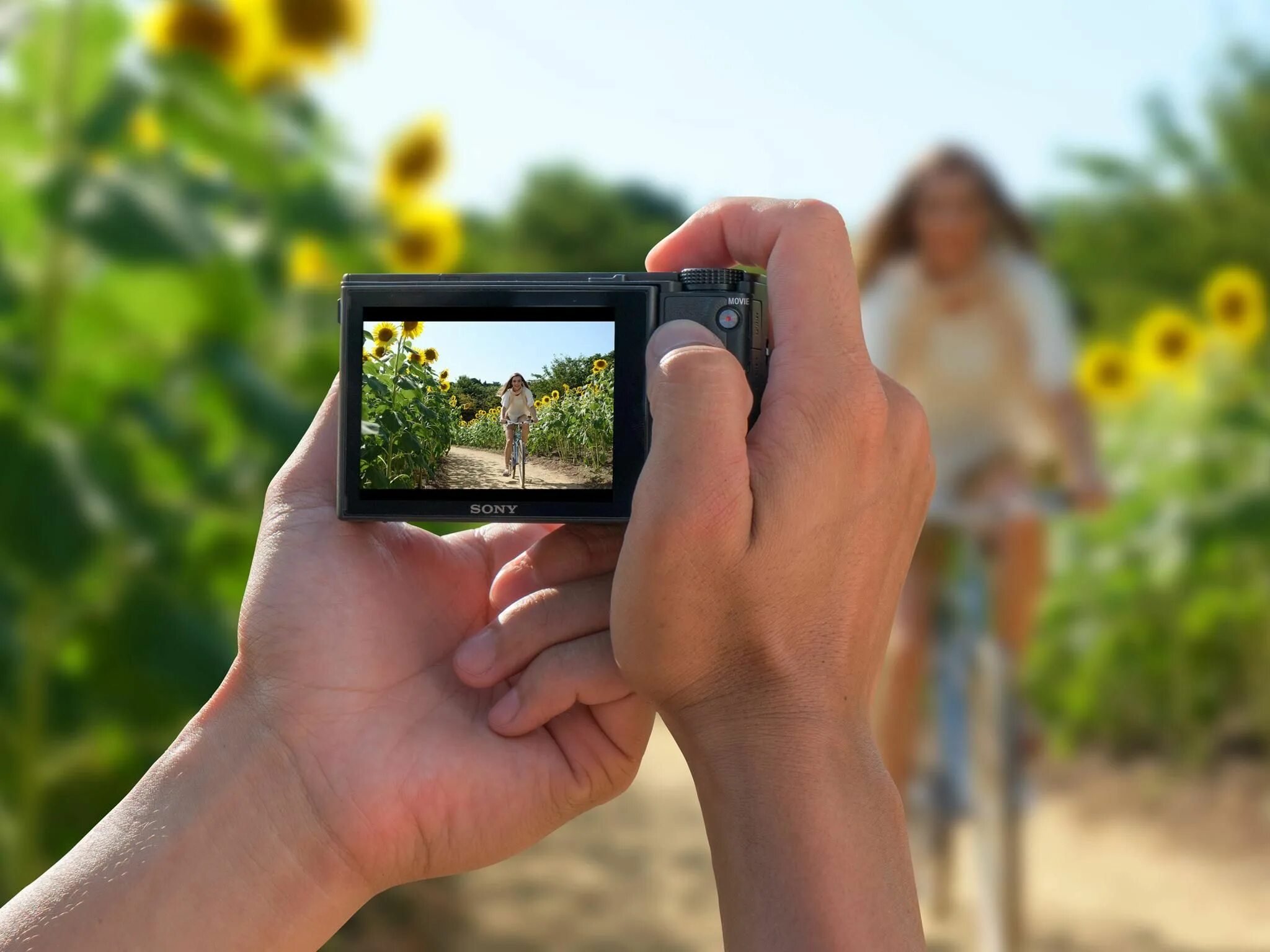 Up your photos