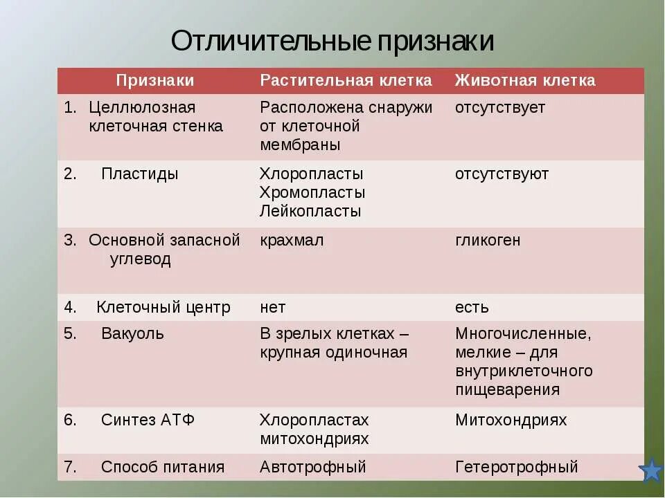 Биологические признаки клеток. Отличительные признаки растительной клетки от животной клетки. Запасной углевод растительной клетки. Характерные признаки растительной клетки. Запасной углевод растений и животных клеток.