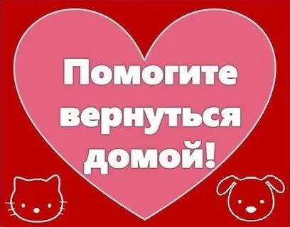 Помогу вернуться