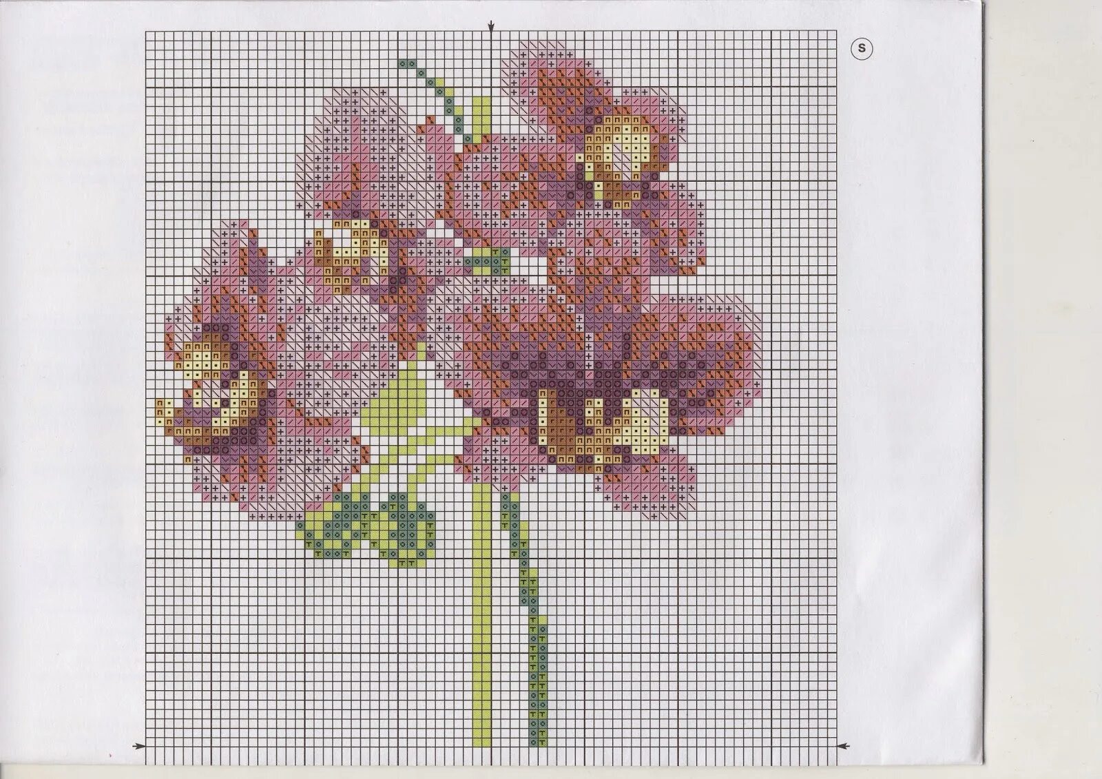 Набор для вышивания крестом орхидеи. Схема орхидей. Схема вышивки крестом орхидеи. Вышивка крестом орхидеи. Вышивка крестом орхидеи наборы.