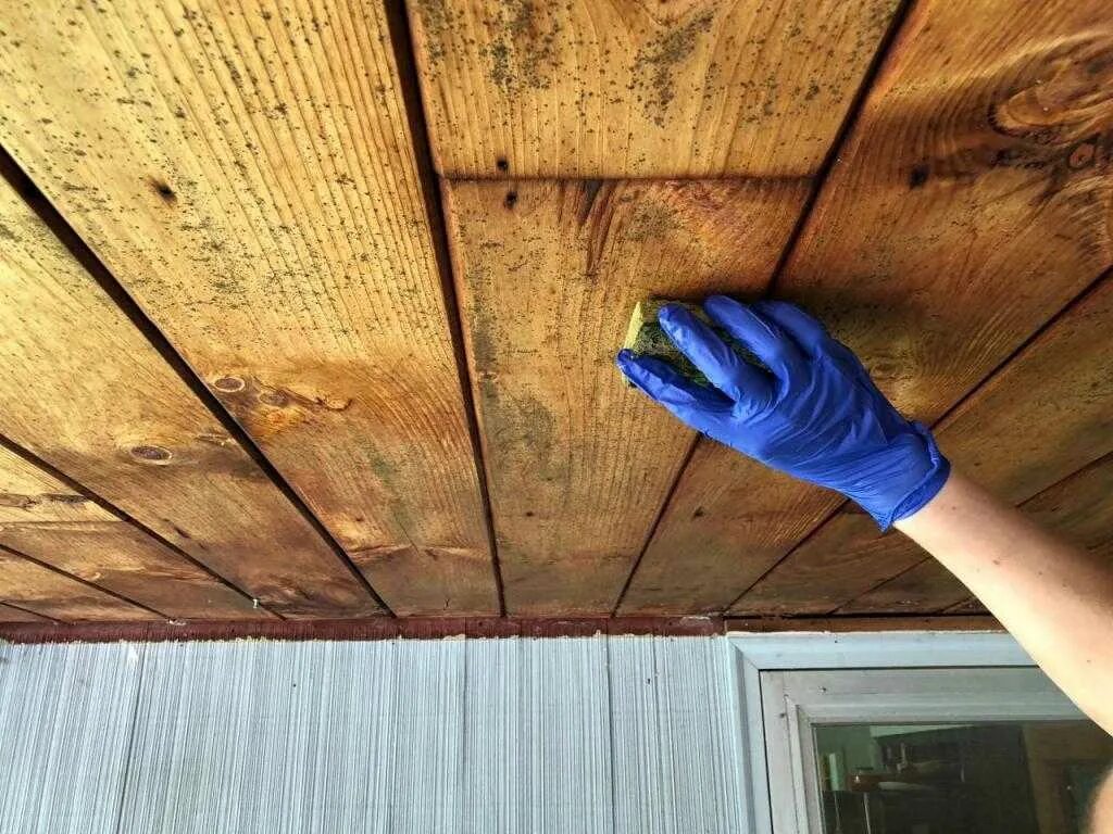 Крашеный деревянный потолок. Краска на потолок деревянный в доме. Отшлифовать деревянный потолок. Краска для деревянного потолка. Чем отмыть вагонку в бане