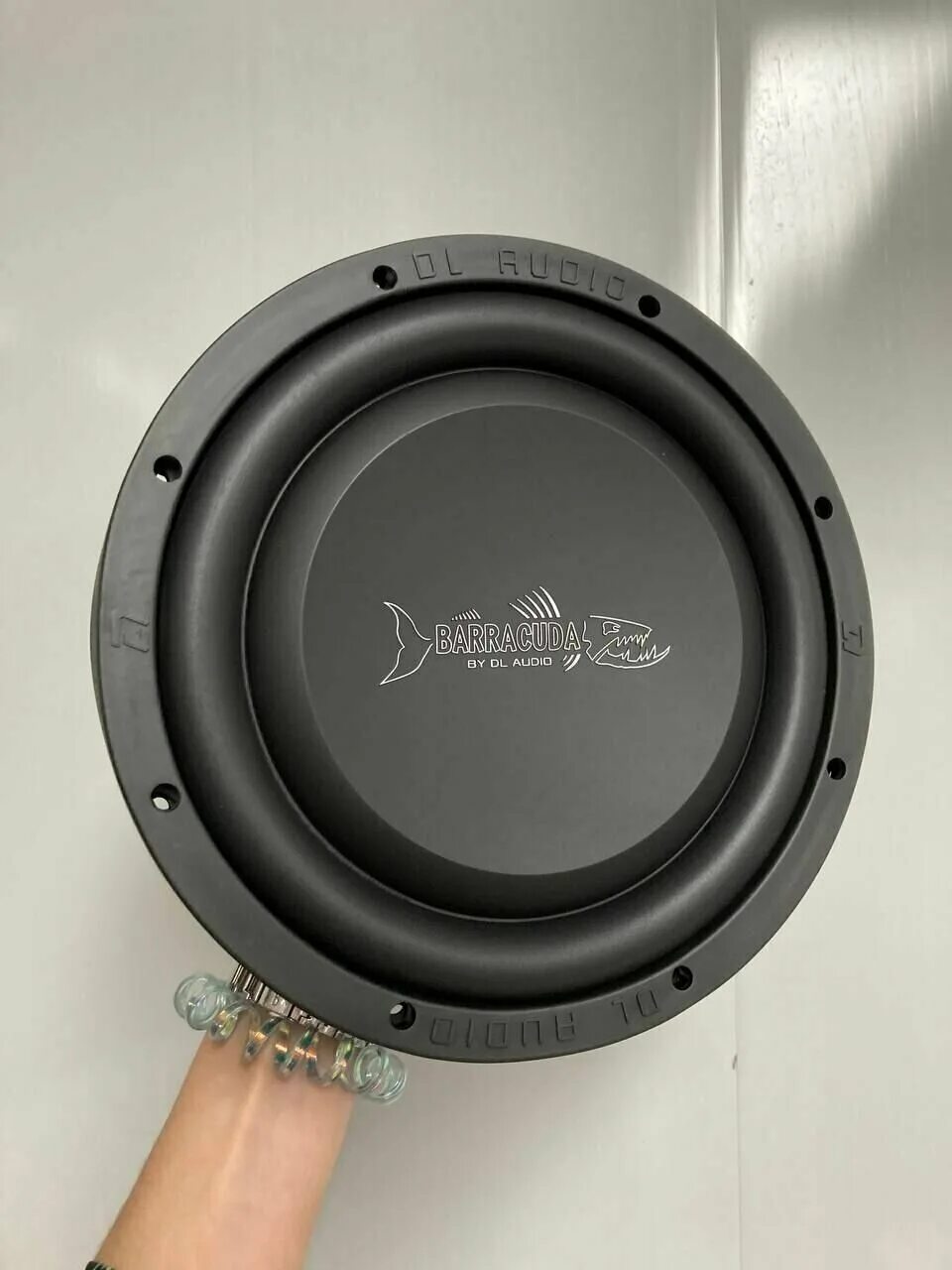 Barracuda 10 flat. DL Audio Barracuda 12a. DL Audio Barracuda 12a Flat. Barracuda 10 Flat сабвуфер. Сабвуфер DL Audio Barracuda 10 Flat.