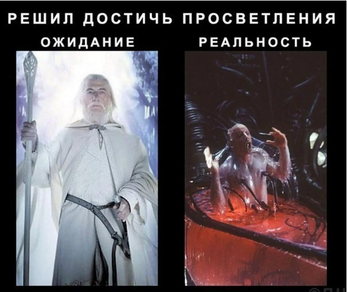 Достичь ожидания. Просветление ожидание и реальность. Духовный рос ожидания и реальноть. Духовный рост ожидание реальность. Мемы про духовное развитие.