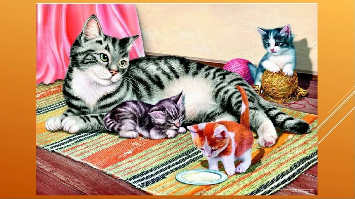 Кошки детский сад. Сюжетная картина кошка с котятами. Рассказывание по картине кошка с котятами в старшей группе. Кошечка с котятами для дошкольников. Картина кошка с котятами для ДОУ.