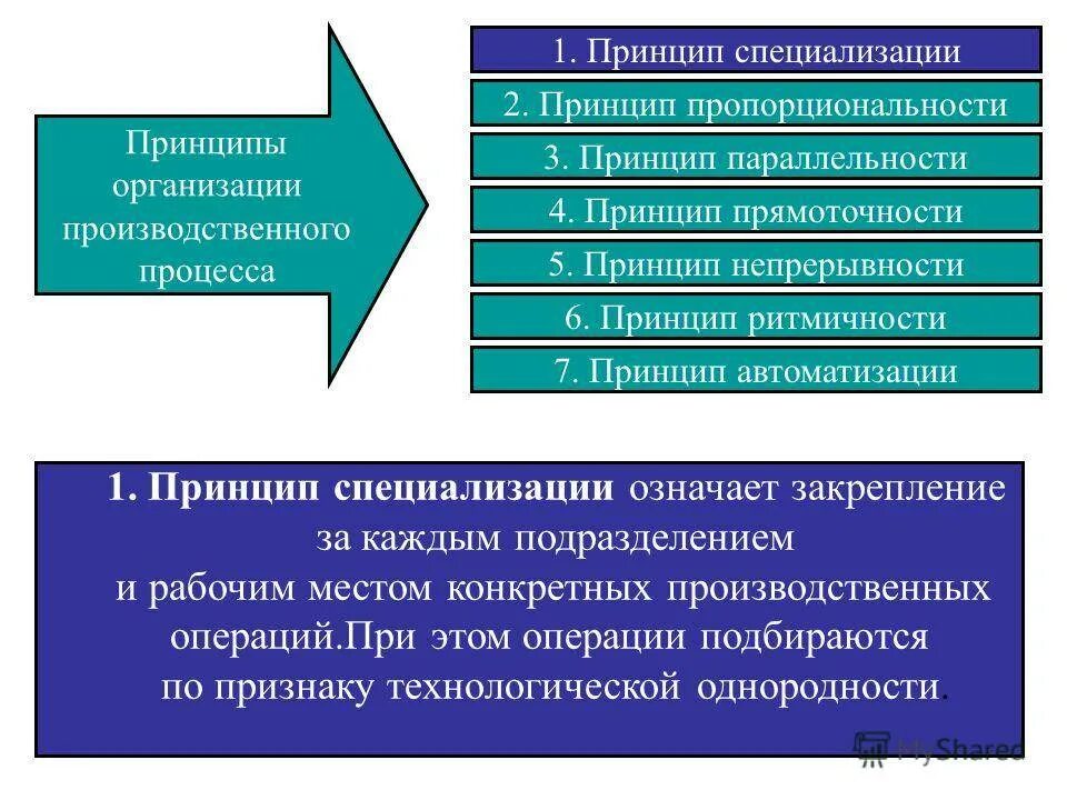 Принципы организации рынков. Принципы производственного процесса. Принципы организации производственного процесса. Принципы организации процесса производства. Принципы организационного процесса.