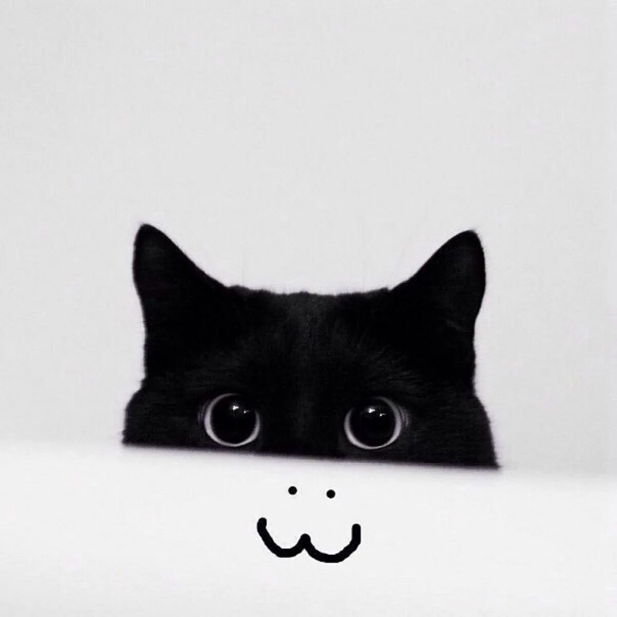 Выглядывает нарисовать. Кот выглядывает. Котенок выглядывает. Черный кот выглядывает. Кот Минимализм.