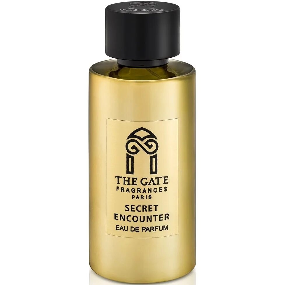 Guy gerber what to do обложка. Secret encounter. Secret encounter. The gate fragrances. Duet парфюм the gate.