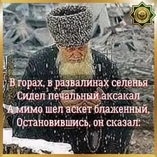 Стихи чеченцу. Чеченские стихи. Кавказский старец. Слова про чеченцев. Я чеченец.