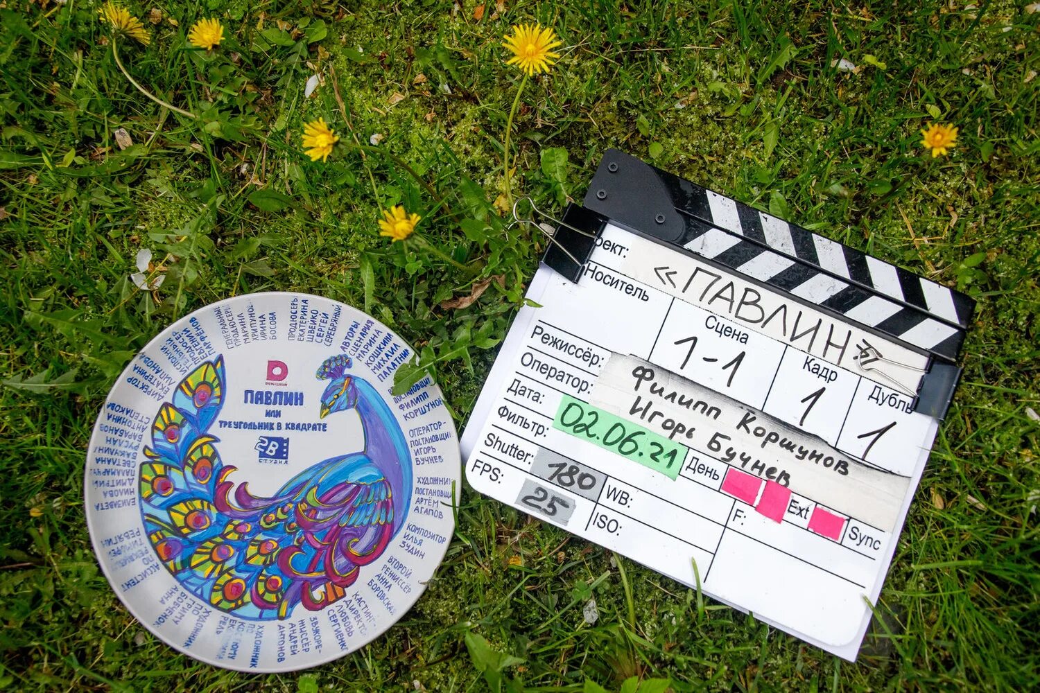 Павлин треугольник. Павлин петрински. Павлин петрински. Павлин треугольник. Конфеты с павлином.