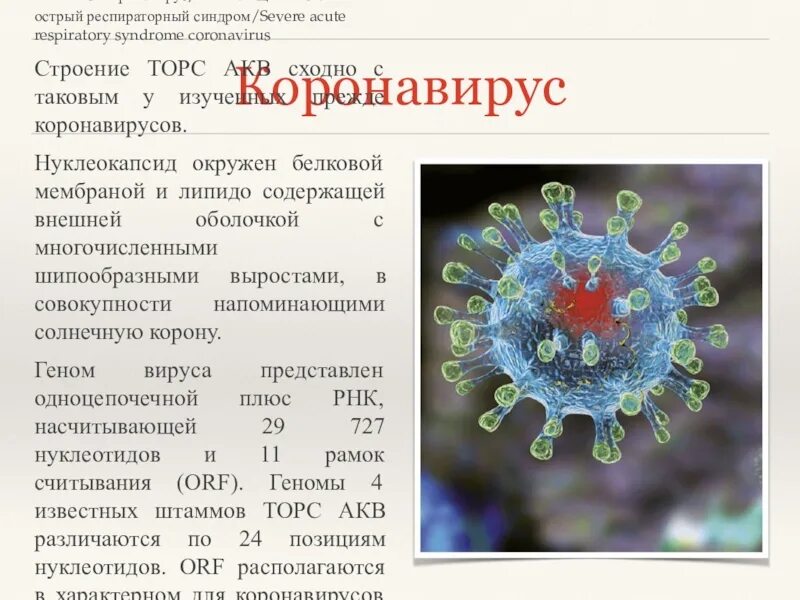 Коронавирусе и его симптомах
