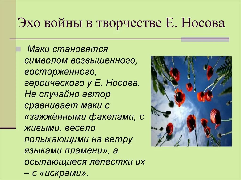 О чем рассказ живое пламя носова кратко. Живое пламя Носов маки. Носов живое пламя. Носов живое пламя презентация.