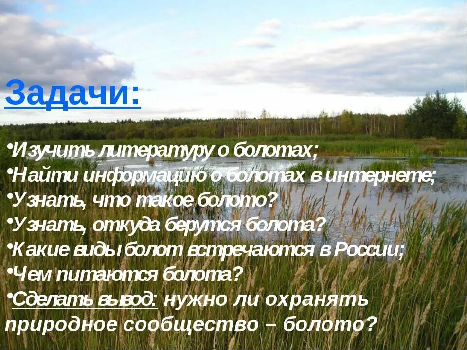 Откуда берутся болота. Оть КУДО бероца балота. Охрана болот. Надо ли охранять болота сообщение.