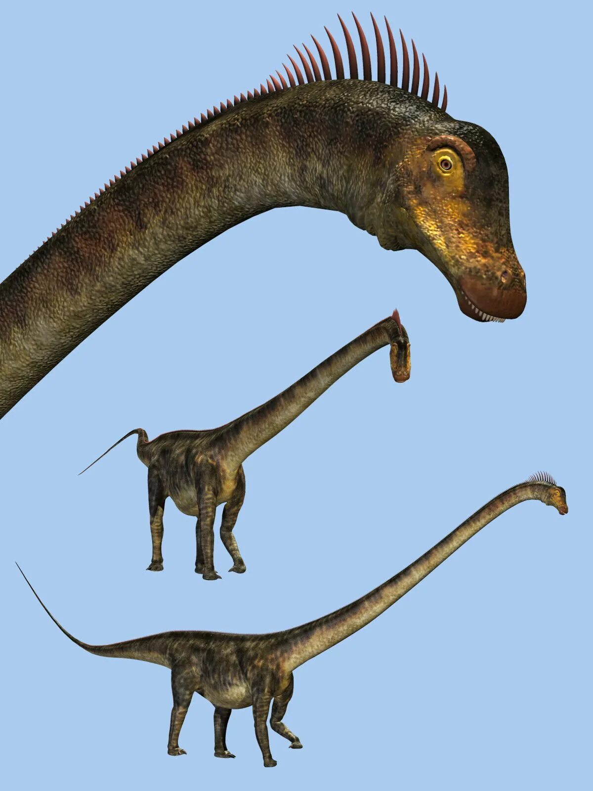 Барозавр скелет. Барозавр. Диплодок аргентинозавр брахиозавр барозавр. Барозавр динозавр. Диплодок аргентинозавр брахиозавр барозавр.