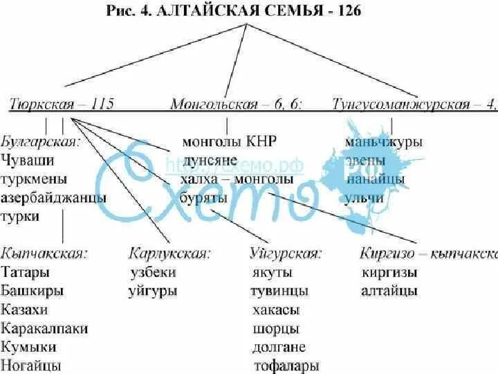 Какие группы алтайской семьи. Алтайская семья народы таблица. Алтайская семья языков схема. Алтайская семья языков тюркская группа. Семья тюркских языков схема.
