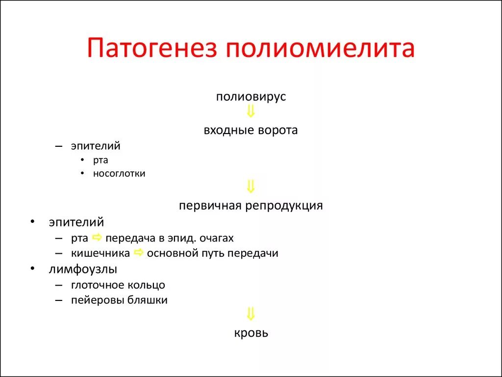 Центр полиомиелита. Возбудитель полиомиелита патогенез. полиомиелит патогенез схема. полиомиелит входные ворота инфекции.