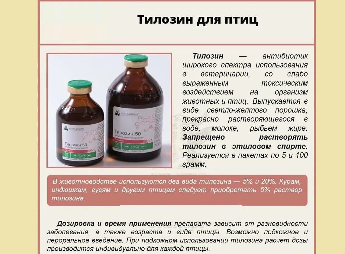 Куры после антибиотиков. Тилозин ветеринарный препарат. Тилозин 50 дозировка. Тилозин 50 для бройлеров. Препарат для ветеринарии тилозин 50.